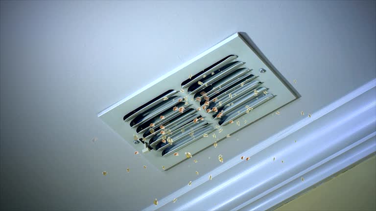 Best Air Duct Inspection  in Fort Smith, AR
